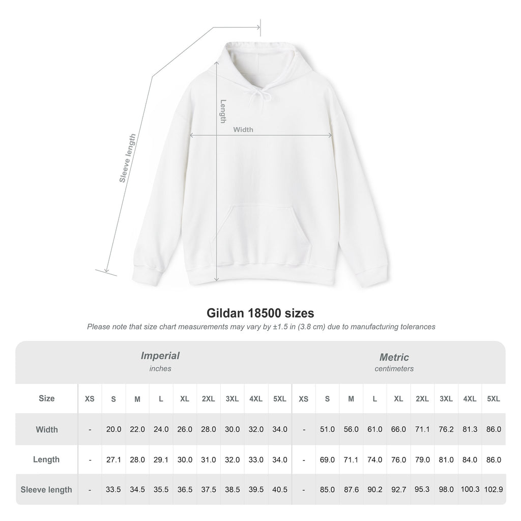 Don’t Lower Your Expectations. Raise the Accessibility.™ Hoodie
